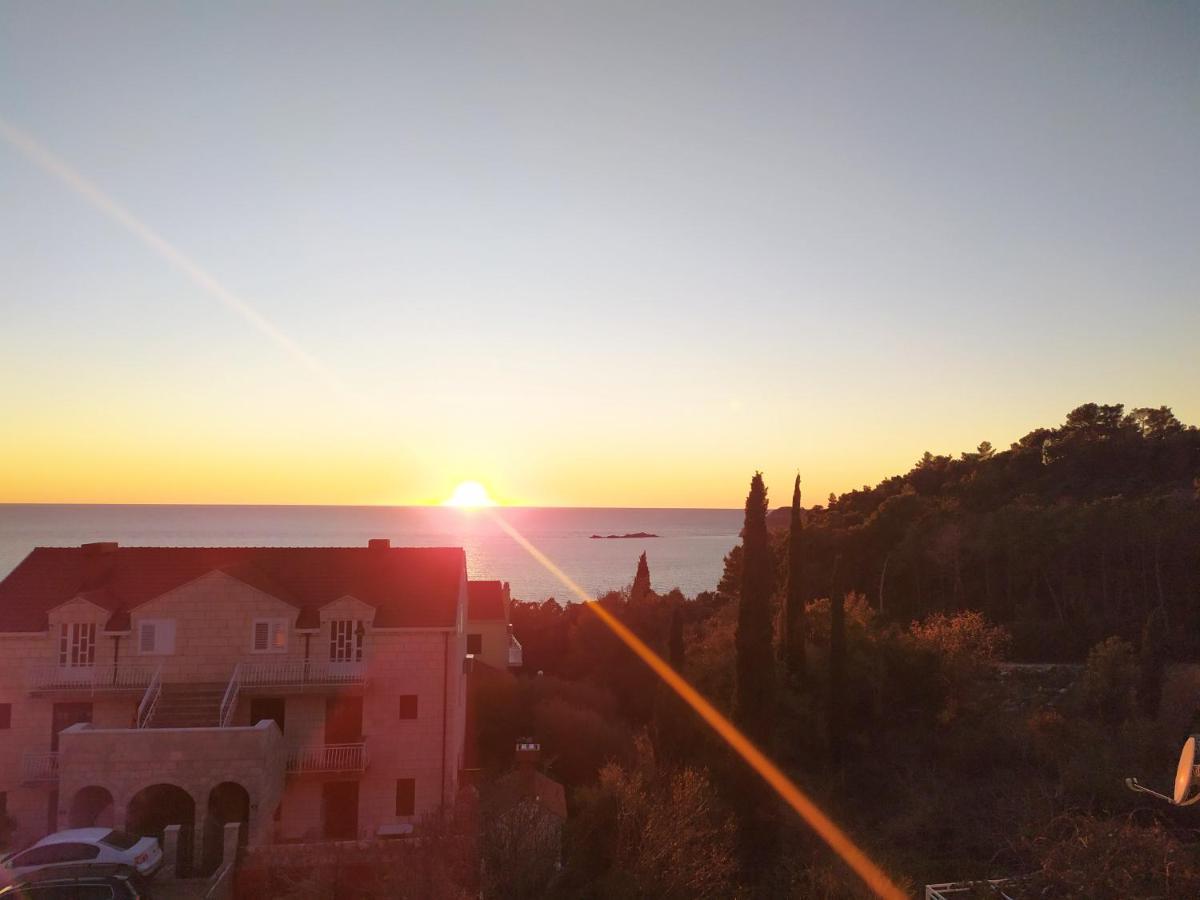 Honey Bee Cavtat Apartment Exterior photo