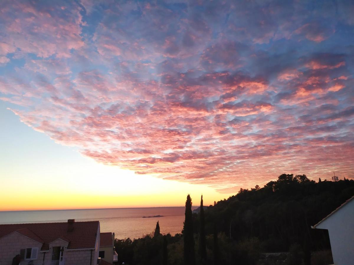 Honey Bee Cavtat Apartment Exterior photo